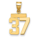 14k Small Polished Number 37 Charm
