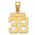 14k Small Polished Number 38 Charm