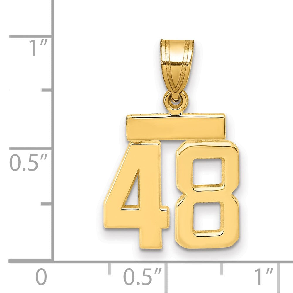 14k Small Polished Number 48 Charm