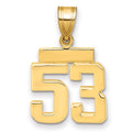14k Small Polished Number 53 Charm