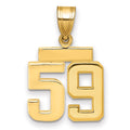 14k Small Polished Number 59 Charm