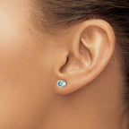 Chisel Stainless Steel Polished Blue CZ March Birthstone Post Stud Earrings