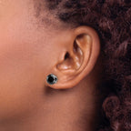 Chisel Stainless Steel Polished 8mm Black Round CZ Stud Post Earrings