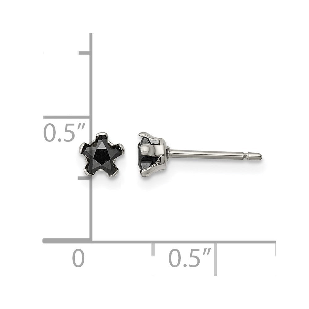 Chisel Stainless Steel Polished 4mm Black Star CZ Stud Post Earrings