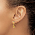 Chisel Stainless Steel Polished Yellow IP-plated 19mm Diameter 2mm Hoop Earrings