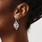 Stainless Steel Polished Dangle Shepherd Hook Earrings