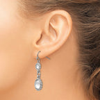 Stainless Steel Polished Grey Glass Dangle Shepherd Hook Earrings
