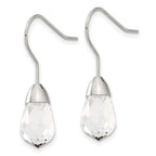 Stainless Steel Polished Glass Shepherd Hook Earrings