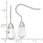 Stainless Steel Polished Glass Shepherd Hook Earrings