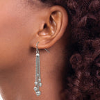 Stainless Steel Polished Dangle Shepherd Hook Earrings