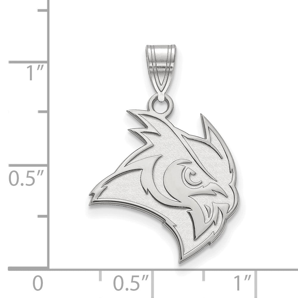 10k White Gold LogoArt Rice University Owl Large Pendant