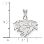 Sterling Silver Rhodium-plated LogoArt United States Air Force Academy Falcons Small Pendant