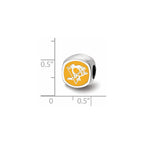 Sterling Silver NHL LogoArt Pittsburgh Penguins Enameled Double Logo Bead