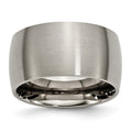Chisel Titanium Brushed 12mm Half Round Band