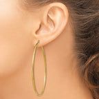 14k 2x65mm Satin Diamond-cut Round Tube Hoop Earrings