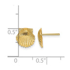 14k Scallop Shell Post Earrings