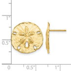 14k Large Sanddollar Post Earrings