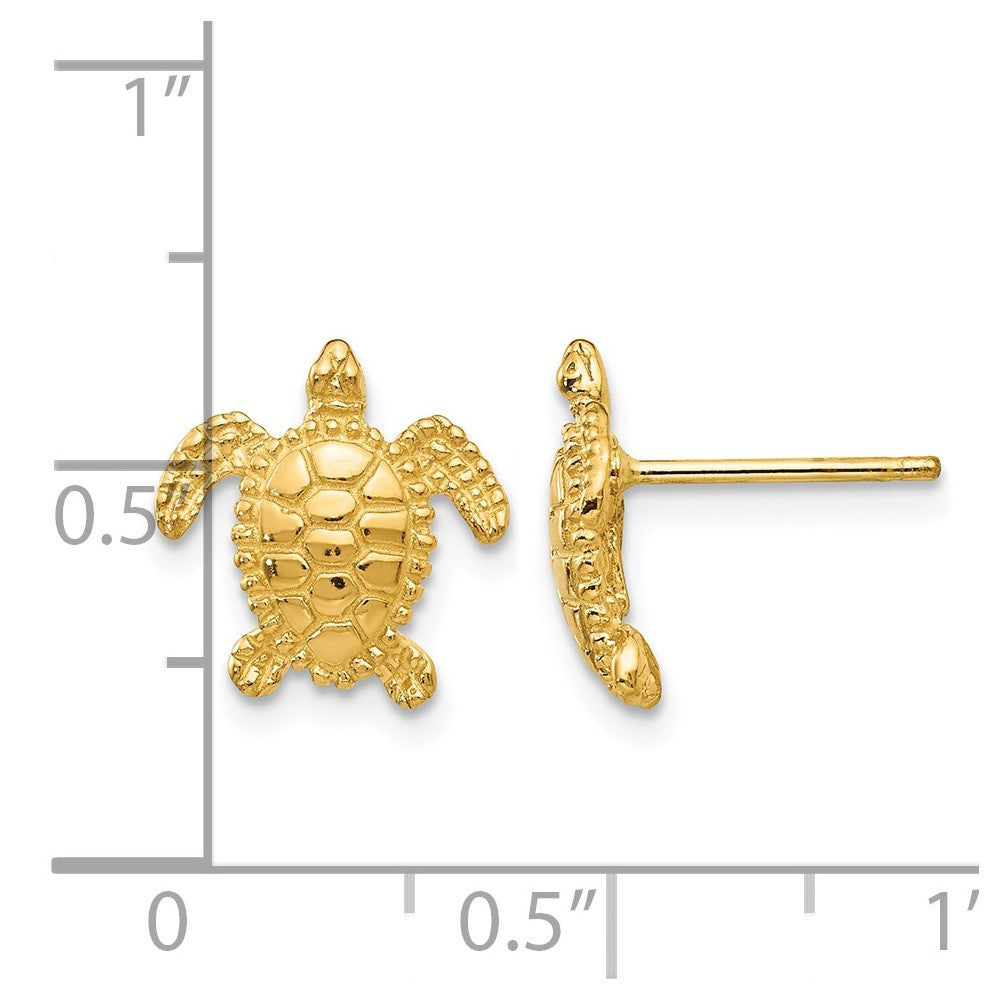 14k Sea Turtle Post Earrings