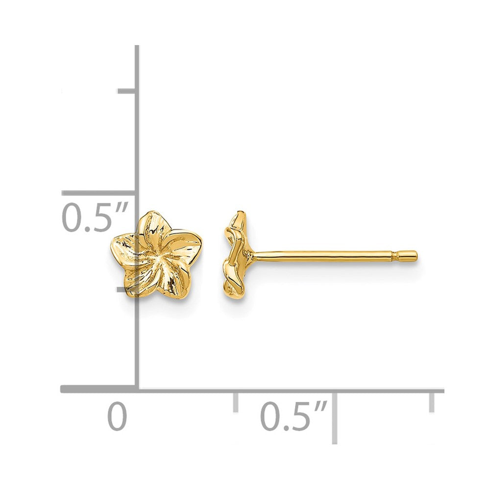 14k Small Plumeria Flower Post Earrings