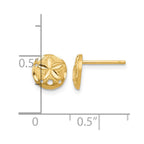 14K Diamond-cut Sand Dollar Earrings