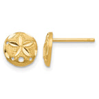 14K Diamond-cut Sand Dollar Earrings