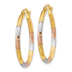 14K w/White and Rose Rhodium 2mm Satin & D/C Hoop Earrings