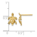 14k Polished Diamond-cut Sea Turtle Post Earrings