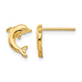 14k Mini Jumping Dolphin Post Earrings