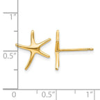14k Starfish Post Earrings