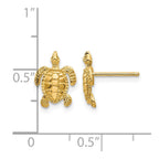 14k Sea Turtle Post Earrings