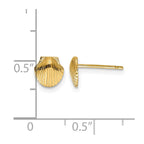 14k Mini Scallop Shell Post Earrings