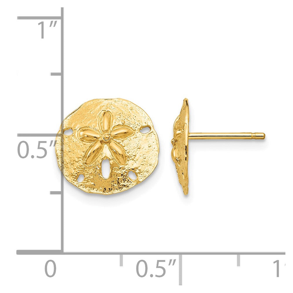 14k Sand Dollar Post Earrings
