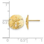 14k Sand Dollar Post Earrings