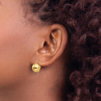 14k 10.50mm Hollow Half Ball Kidney Wire Earrings