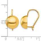 14k 10.50mm Hollow Half Ball Kidney Wire Earrings
