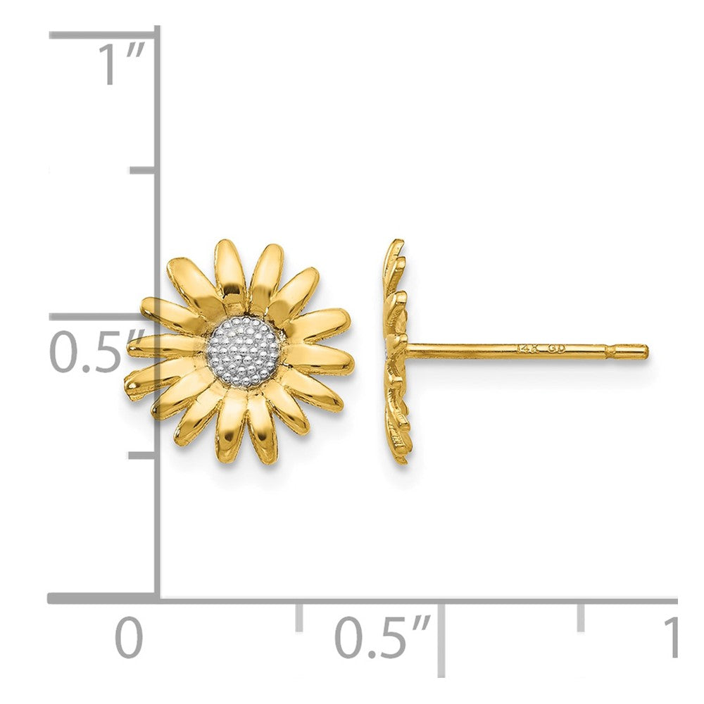 14k and White Rhodium Daisy Post Earrings