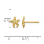 14K Polished and Textured Starfish Post Earrings