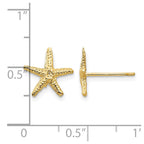 14k Starfish Post Earrings