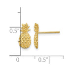14K Polished and Textured Pineapple Post Earrings