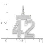 14kw Small Satin Number 42 Charm