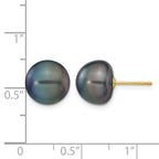 14k 10-11mm Black Button Freshwater Cultured Pearl Stud Post Earrings