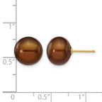 14k 10-11mm Brown Button Freshwater Cultured Pearl Stud Post Earrings
