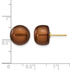 14k 11-12mm Brown Button Freshwater Cultured Pearl Stud Post Earrings
