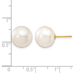 14k 11-12mm White Button Freshwater Cultured Pearl Stud Post Earrings