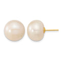 14k 13-14mm White Button Freshwater Cultured Pearl Stud Post Earrings