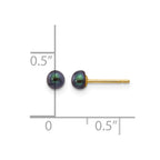 14k 3-4mm Black Button Freshwater Cultured Pearl Stud Post Earrings