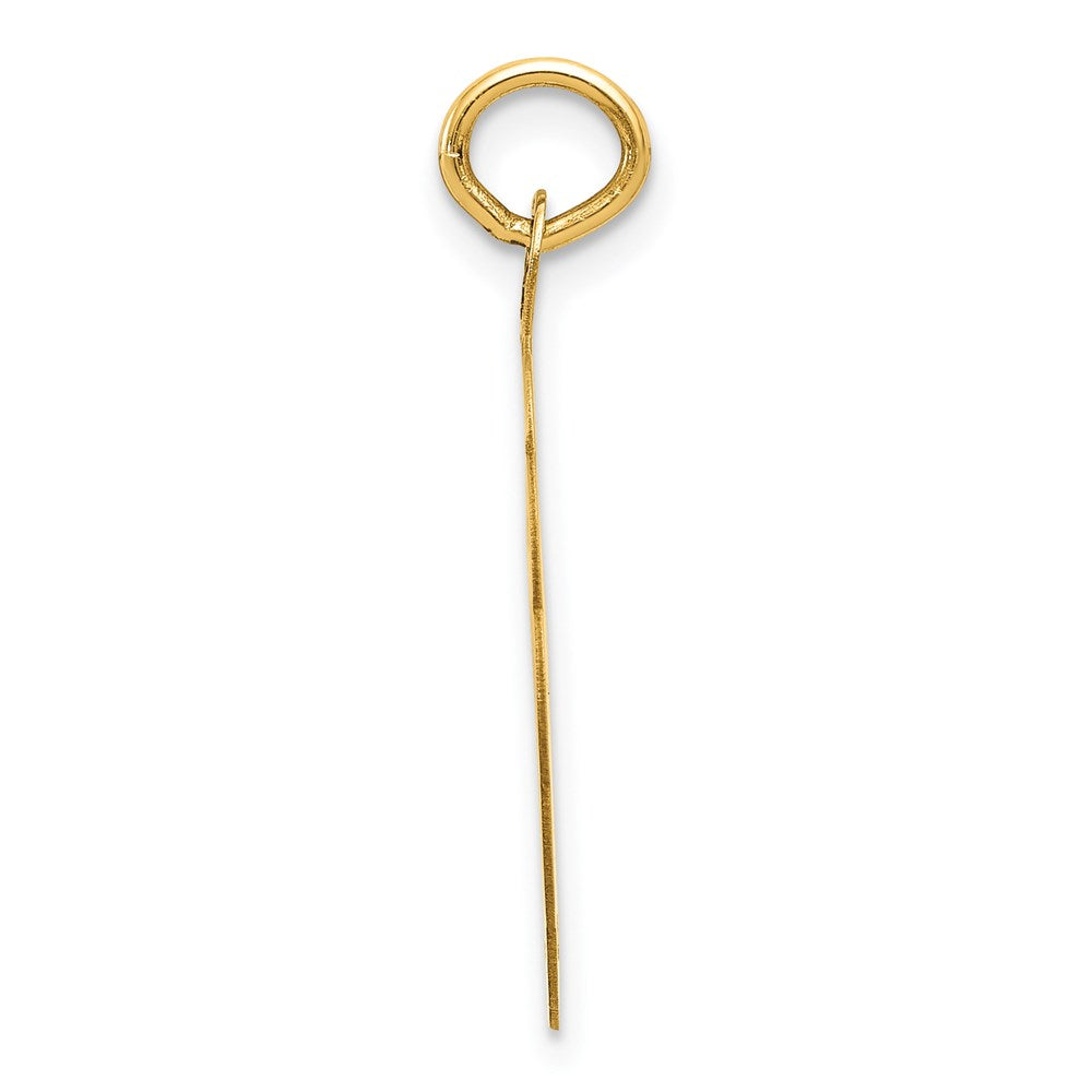 14k SWIMMING 19mm Engravable Disc Charm
