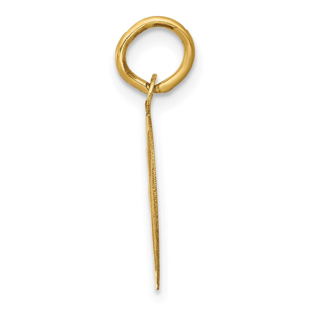 14k GRADUATION DAY with Cap 13mm Engravable Disc Charm