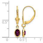 14k 6x4 Oval Bezel June/Rhodolite Garnet Leverback Earrings