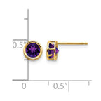 14k 5mm Round Bezel February/Amethyst Post Earrings